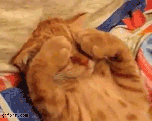 despertando.gif