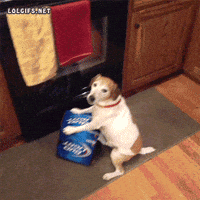 200w.gif