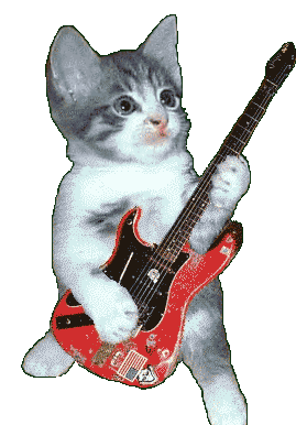 cat_rocker.gif