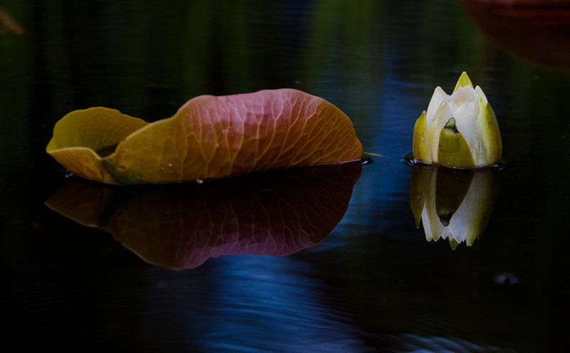 chateaugay-2012-149-L.jpg