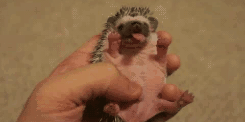 chjMO2C.gif