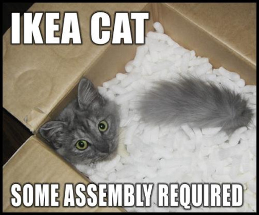 ikea-cat.jpg