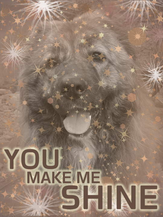 bassas-blog-you-make-me-shine-award.jpg