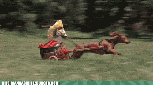 L_SLDVWKZUCL1fJAc43eXg2.gif