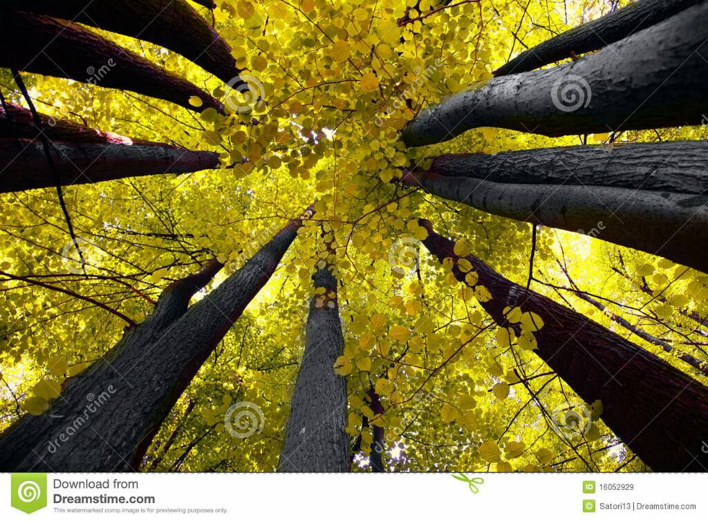 c8a4added8da8aee5a70abffb0304c09.jpg