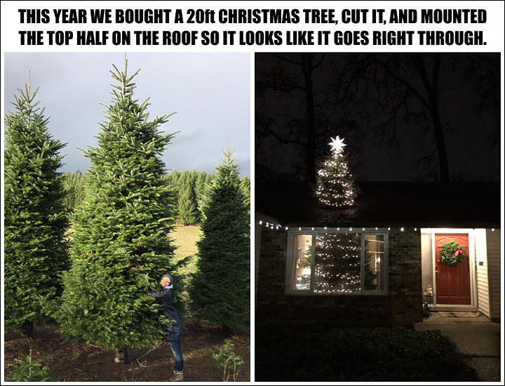 through-the-roof-xmas-tree.jpg