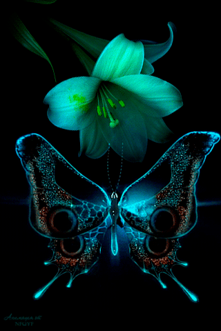 0818f14a7fd1e913f264525769374596.gif