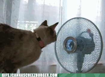 B-HS1aMJsUCWMIBslUQM0w2.gif