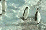 es38iQl.gif