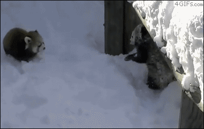 bE8Uz9y.gif