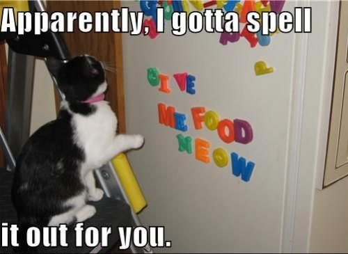 cute-captions-10.jpg