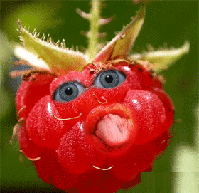 35be29dda2c1a2ef4f70a71ab3cea711.gif