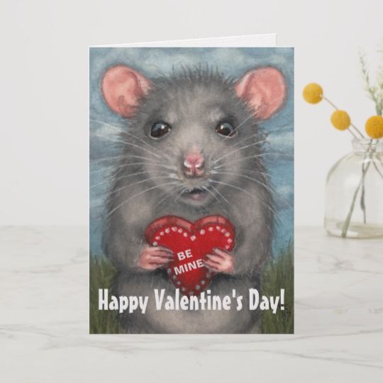 Rat Valentine's Day Greeting Card kmcoriginals | Zazzle | Valentines day  greetings, Valentine's day greeting cards, Animal valentine