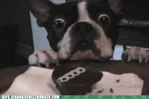 200.gif