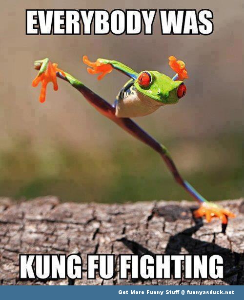 kung-fu-frog-meme.jpg