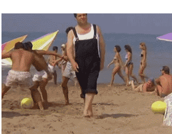 h25E8ZW.gif