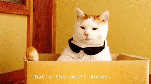 bees-knees-thats-the-bees-knees.gif