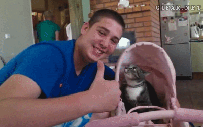 you-think-this-is-funny-hoomin