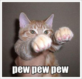 lolcat-pew.jpg