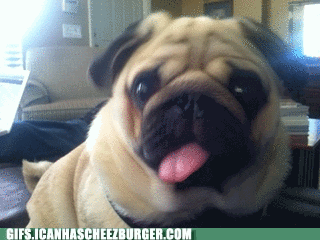 PUJfeQtuaUK6A2WilE296w2.gif