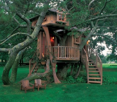 dream-grass-odd-strange-tree-Favim.com-140175.jpg