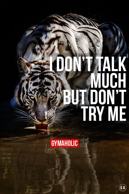 316b2362b7a42c4d034eda0da4a75abb.jpg