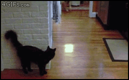hey-come-back-here-im-trying-to-surprise-you