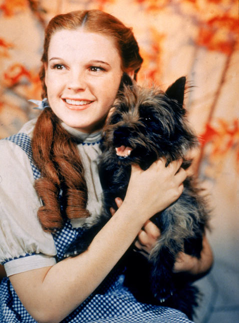 gty_judy_garland_1_dm_120606_vblog.jpg