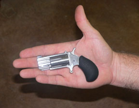 mouse1.jpg