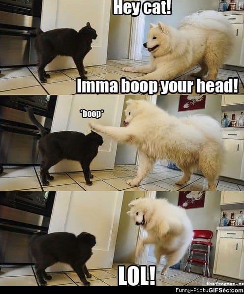 lolpics-24.jpg