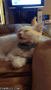 no-no-im-wide-awake