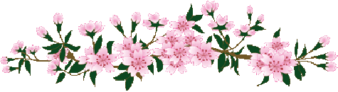 71e3c4c3.gif