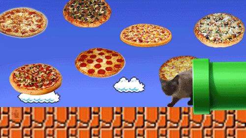 giphy.gif
