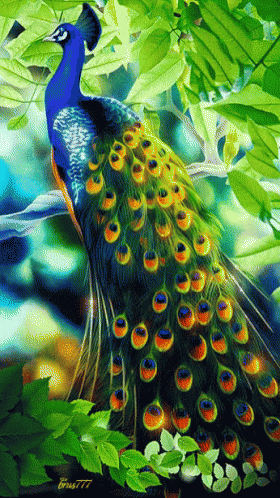 aa5104d8403bac924245dfe56f7b4582.gif
