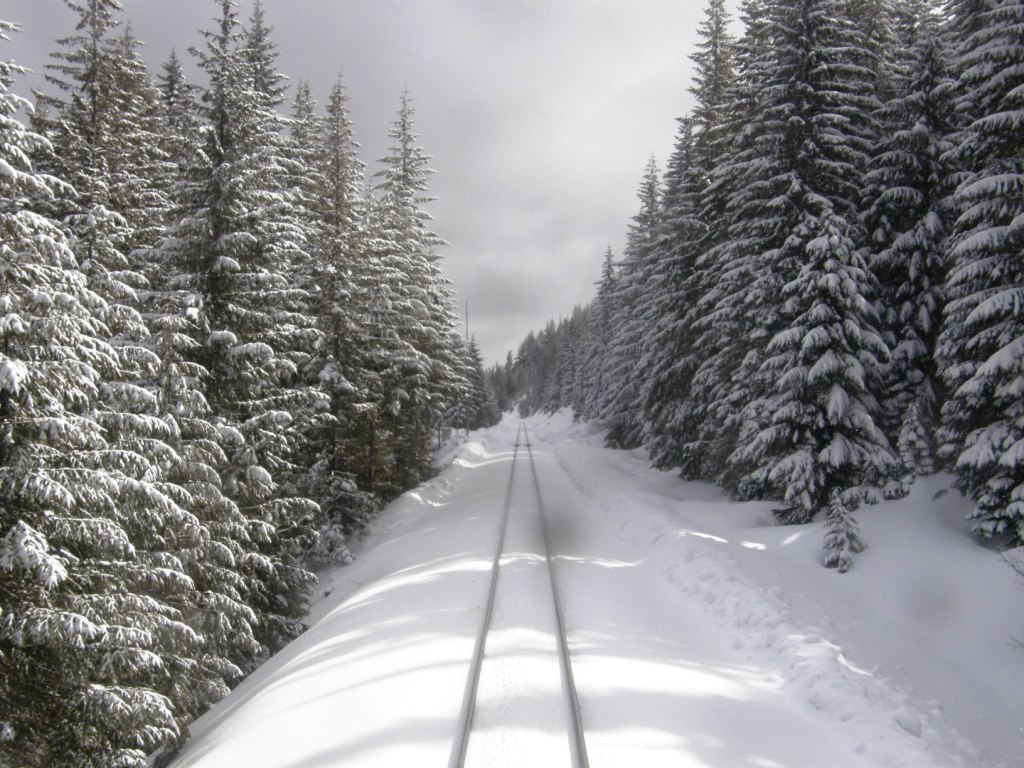 train-snow-dsz.jpg