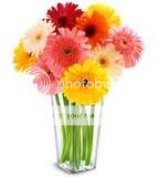 boquet.jpg