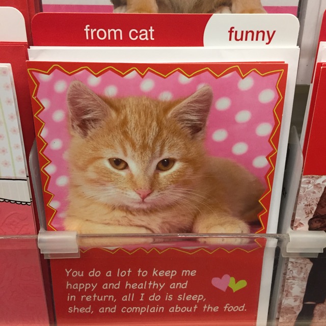 catv.jpg