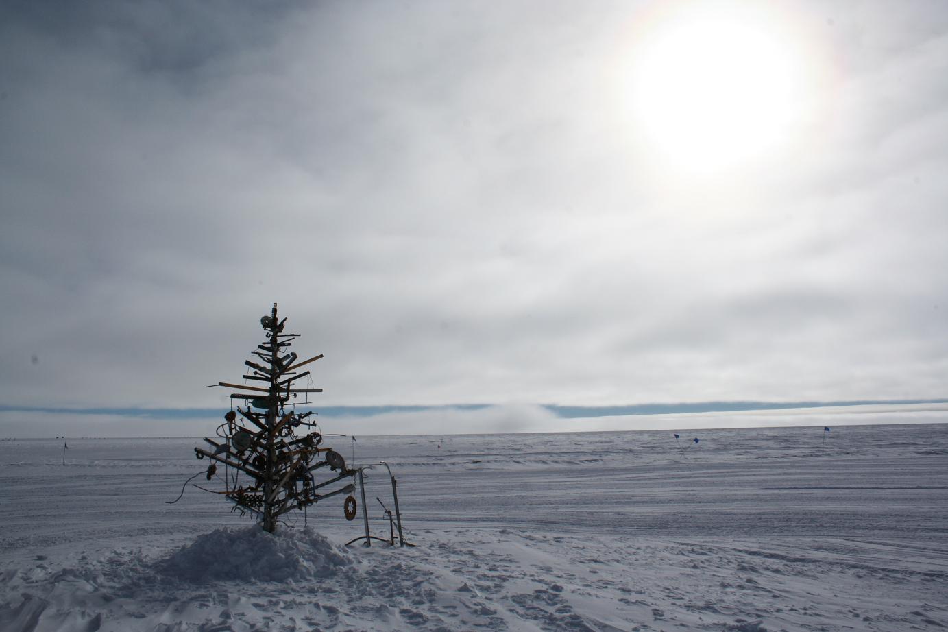 xmas-tree1.JPG