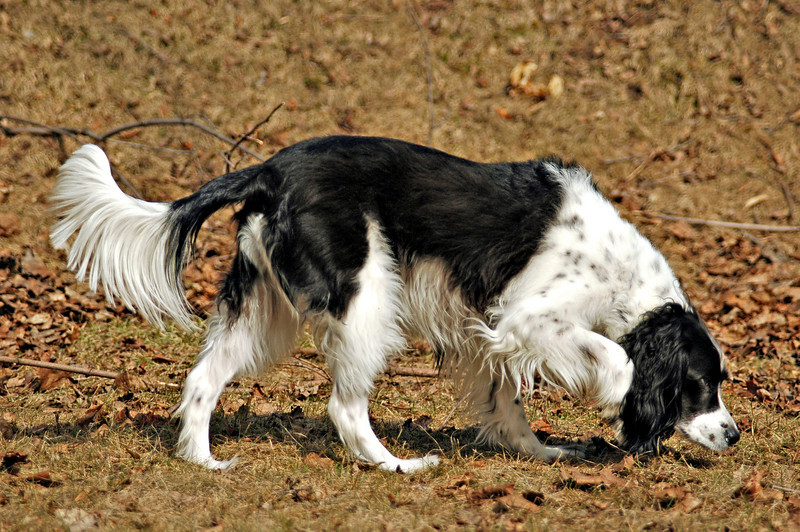 667099458_yhmXm-L.jpg
