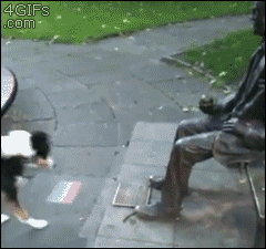 giphy.gif