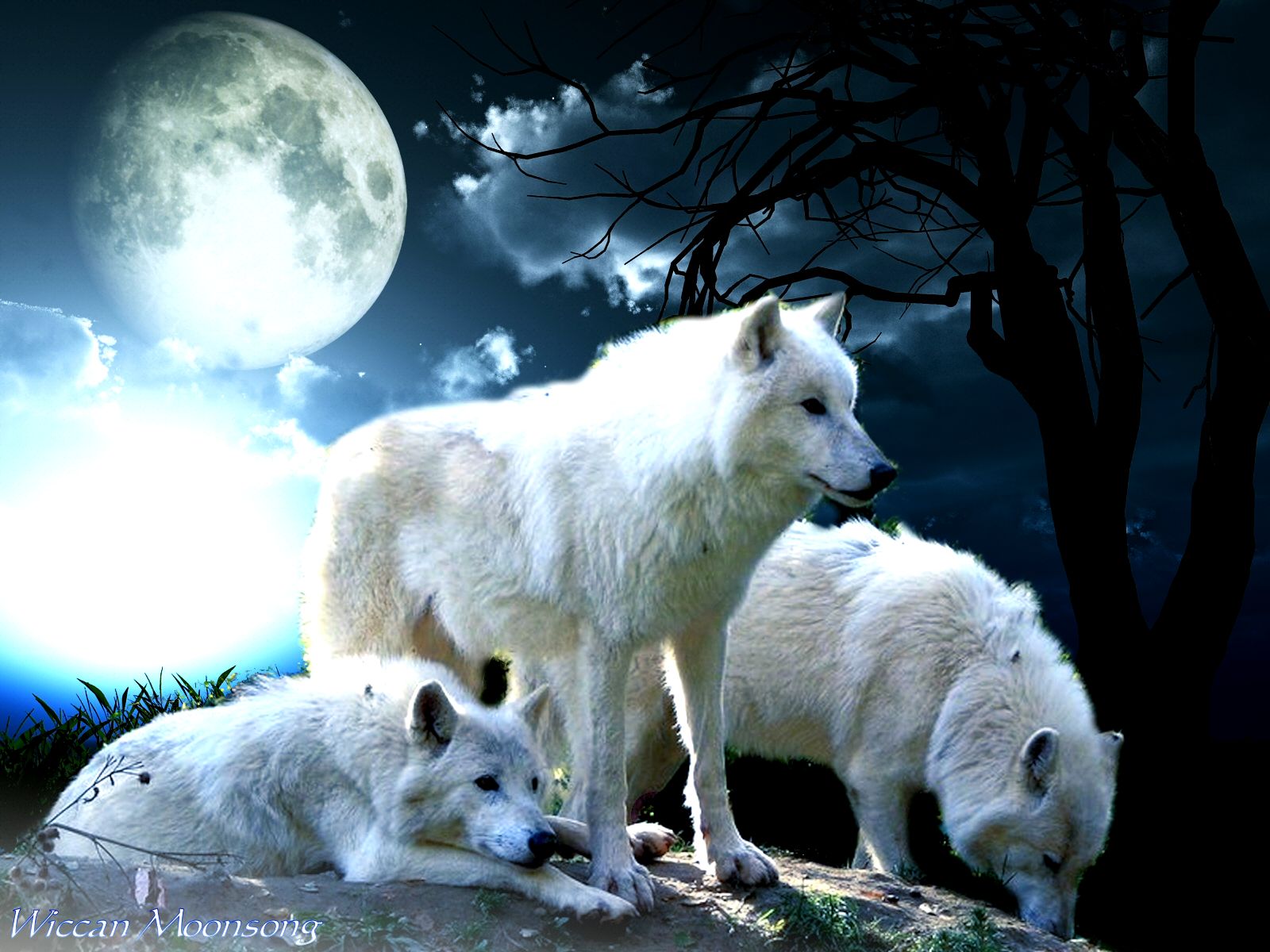 Wolf+Moon.jpg