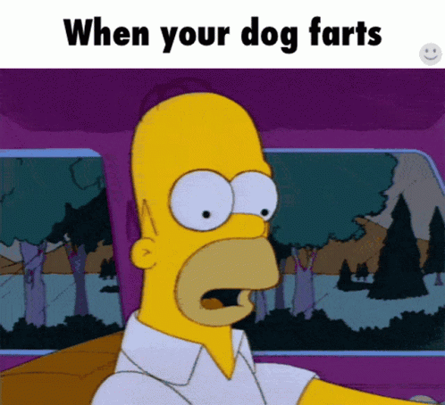 dog-fart.gif