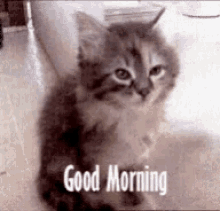 tired-cute.gif