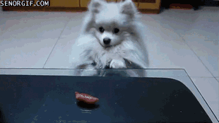 SOpCo8Y.gif
