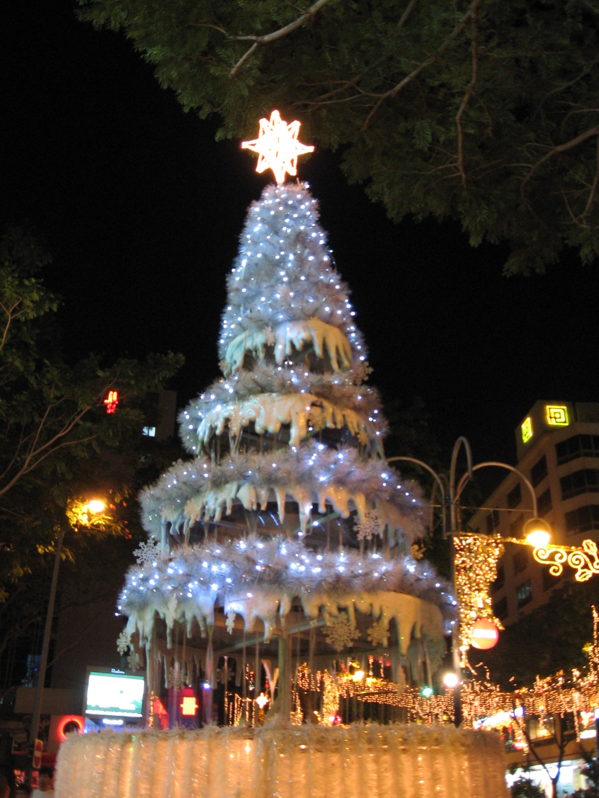 The_Heeren%2C_Xmas%2C_Dec_06.JPG