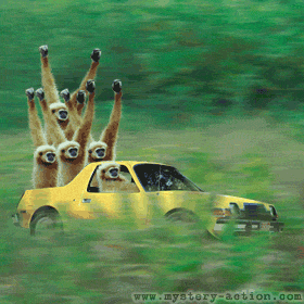 R91XrPn.gif