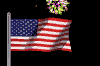 4th-of-july-flag-fireworks-animated-gif.gif