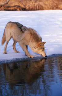 74df1af6-0f38-3adb-b69e-d11c682c9de3