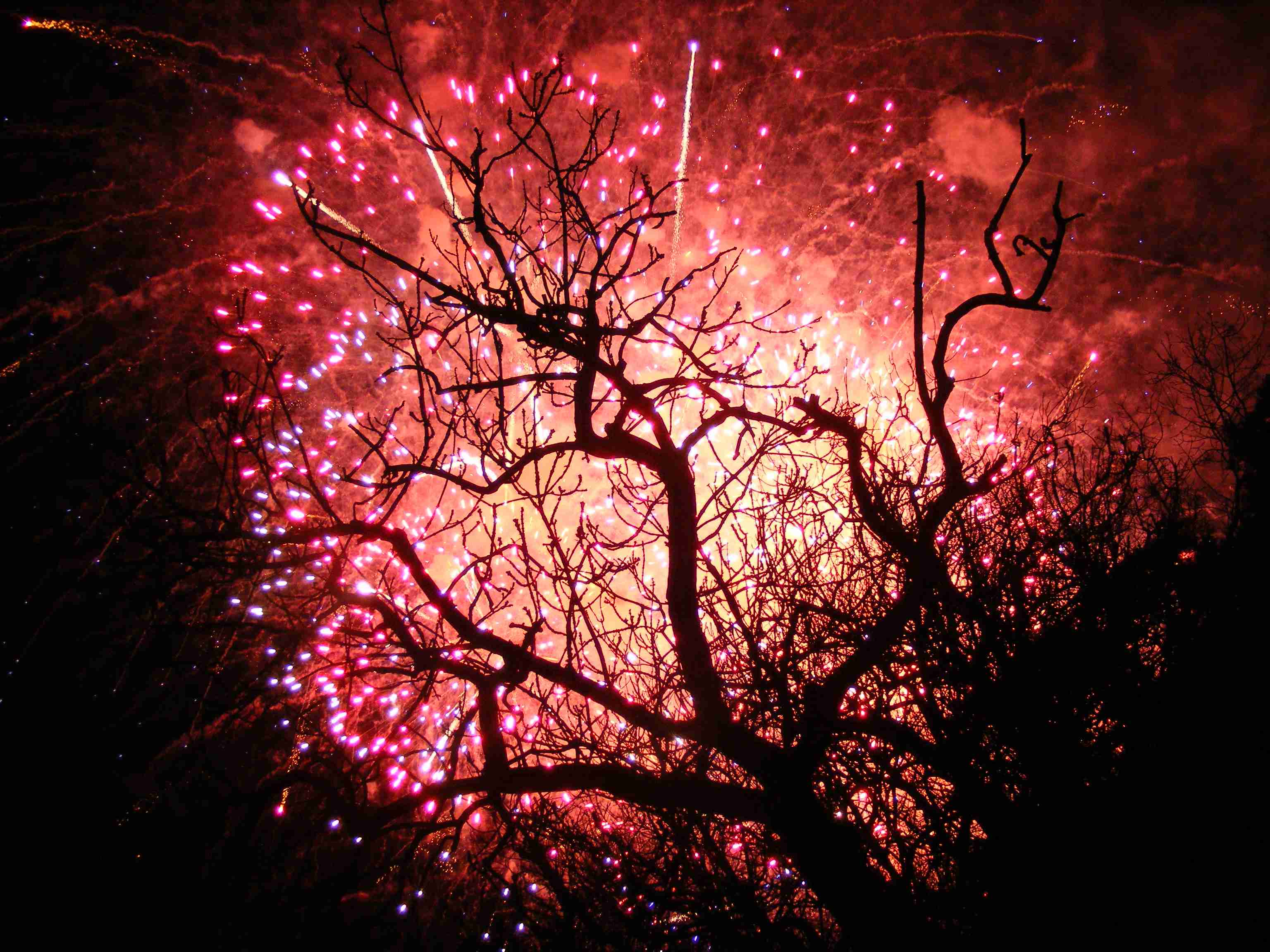 05_Torchlight_Fireworks.JPG
