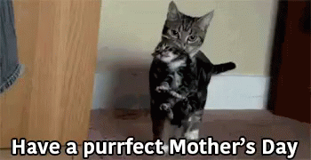 mothers-day-happy-mother-day.gif